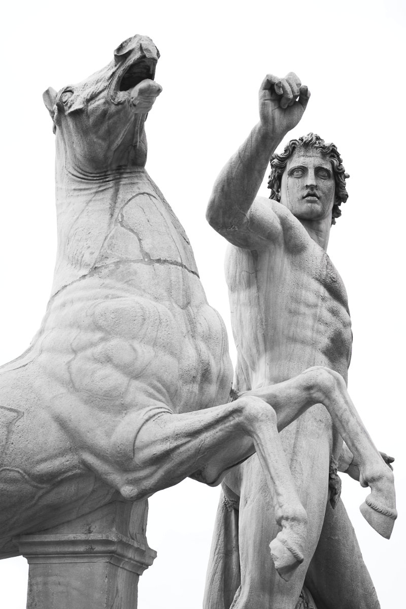 Pollux - Piazza del Quirinale